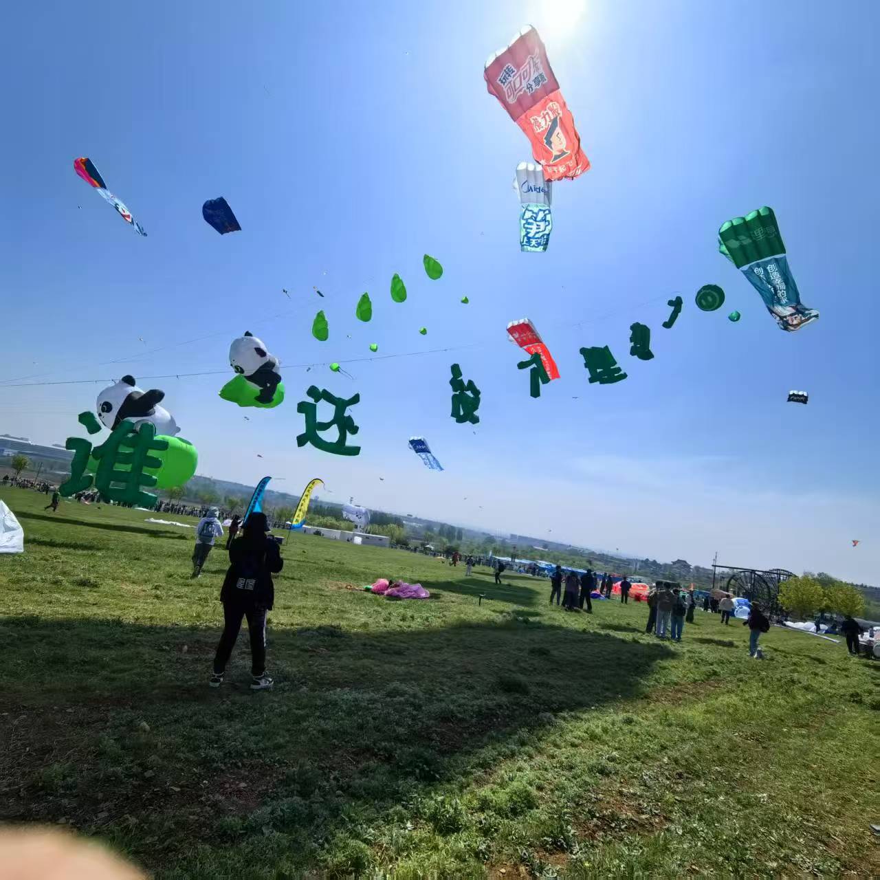 郴州市品牌风筝定制风筝定制 - 一站式服务